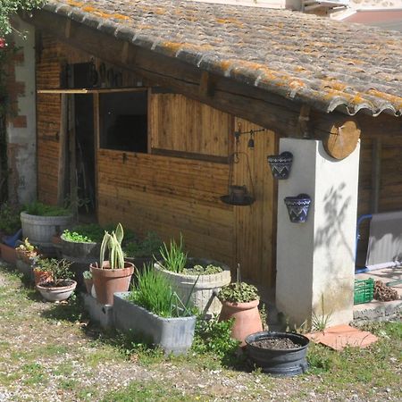La Ferme De Tonton Jules 2 Hotel Entraigues-sur-la-Sorgue Exterior photo